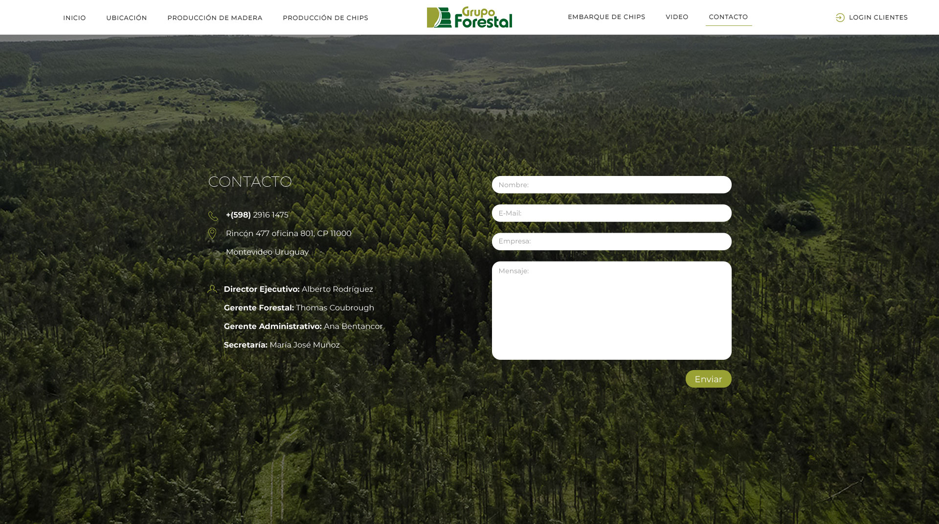 diseño web forestal